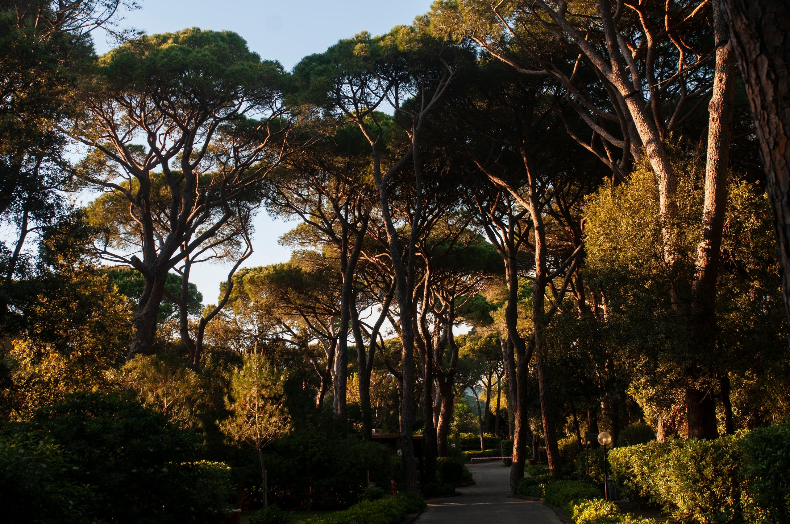 assets/uploads/residence/home/dsc2907.jpg