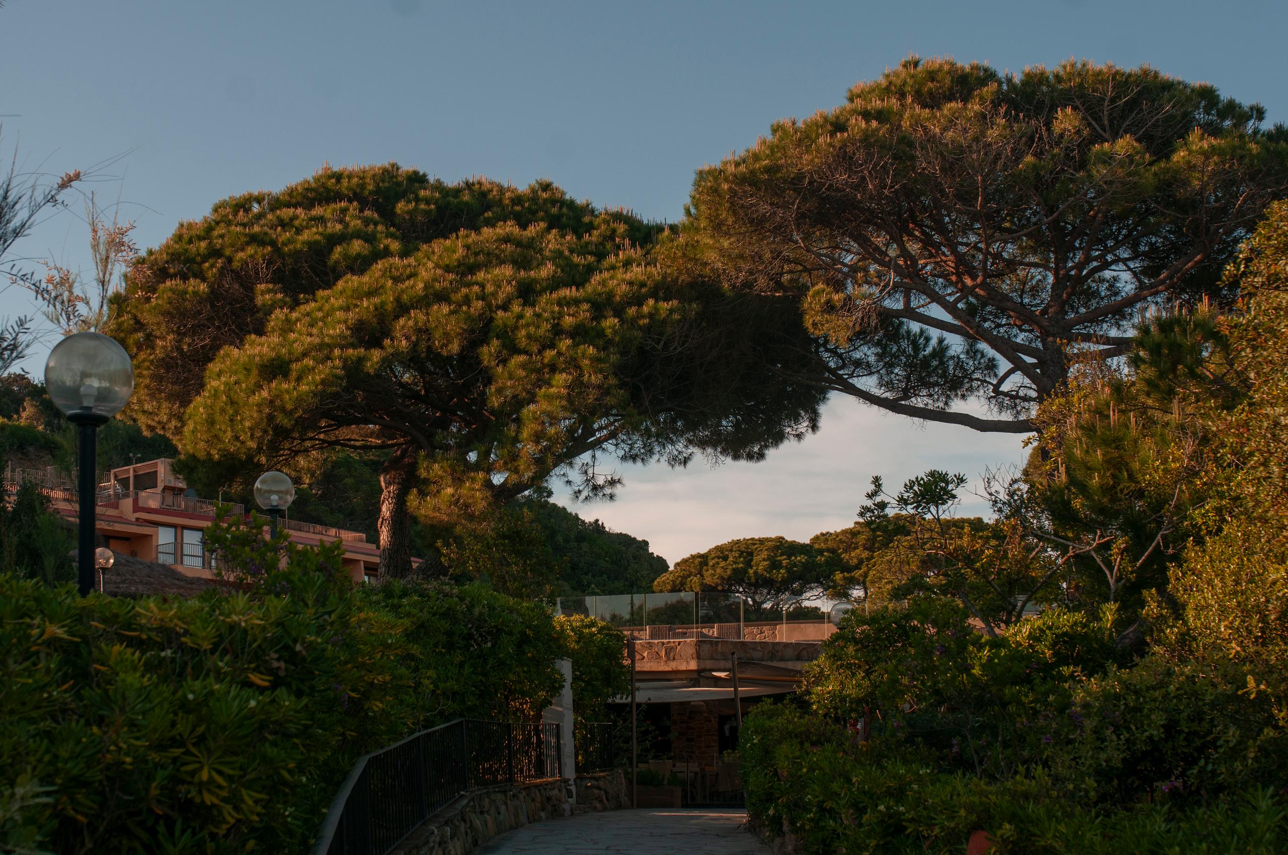 dsc2835.jpg